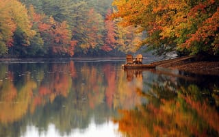 Картинка осень, тишина, лес, красота, кресло, деревья, краски, река