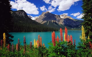 Картинка небо, пейзаж, цветы, озеро, горы