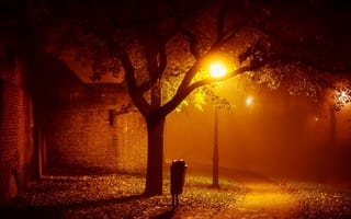 Картинка Пейзаж, туман, осеннее настроение, фонари