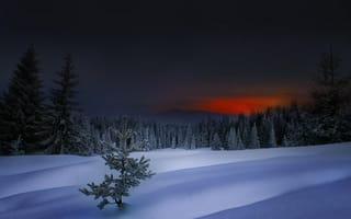 Картинка зима, родопи, winter in rhodope, болгария, закат