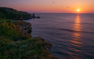 Картинка Болгария, берег, восход, солнце, море, чайки, природа, Чёрное море, пейзаж, небо