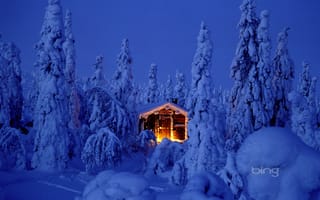 Картинка ель, домик, елка, снег, лес, рождество, сугроб, новый год