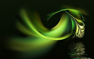 Картинка зеленое, перо, абстракция, вода, чёрный