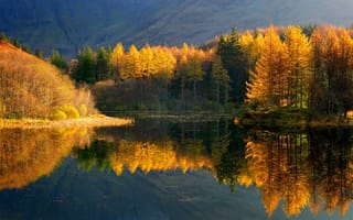 Обои лес, озеро, осень