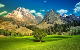 Картинка горы, трава, деревья, пейзаж, небо, долина