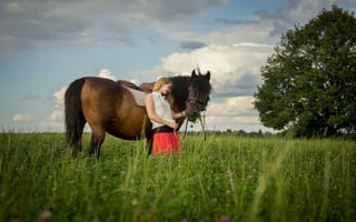 Картинка лето, лошадь, девушка, конь, луг, поляна, за околицей
