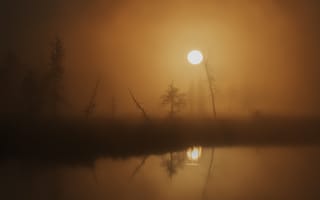 Картинка ночь, отражение, болото, туман, луна, полнолуние
