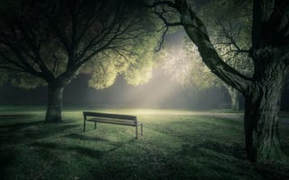 Картинка свет, деревья, скамейка, парк, туман