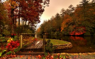 Обои осень, мостик, река, лес