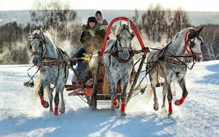 Картинка зима, веселье, задор, люди, кони, тройка