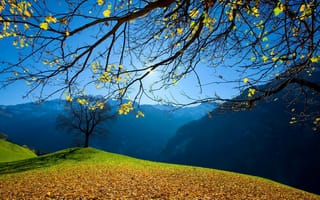Картинка горы, лес, деревья, осень, небо, дома