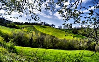 Картинка fabry, деревья, зелень, весна, поля