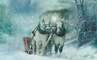 Картинка лошади, сани, зима, текстура, кони, арт, снег