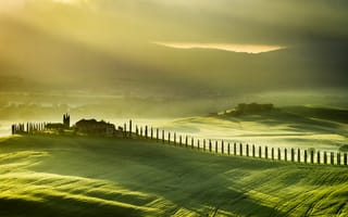 Картинка tuscany, туман, поле, italy, пейзаж