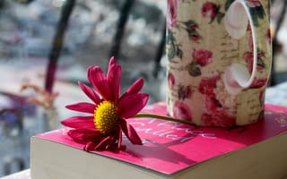 Картинка цветок, лепестки, книга, кружка, чашка, розовые