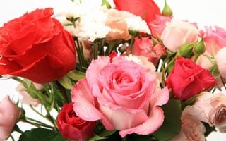 Обои flowers, букет из роз, красивая, bouquet of roses, цветы, beautiful