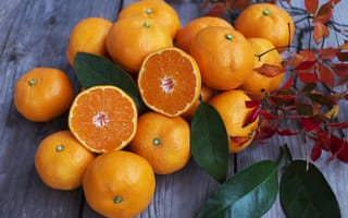 Картинка цитрусы, апельсины