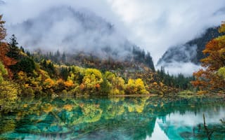 Картинка леса, горы, итай, осень, туман, озеро, краски, природа