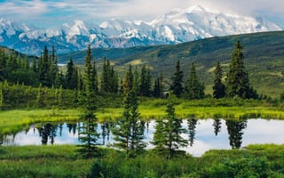 Картинка аляска, горы, moss, trees, day, woods, range, leaves, лес, nature, park, sunrise, alaska, landscapes, green, forest, trail, mount, see, fallen, mist, nice, wide, mounts