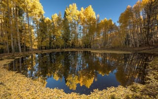 Картинка озеро, осень