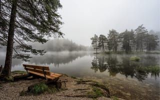 Картинка озеро, туман, лавка, лес, красиво