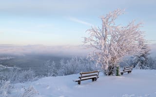 Обои зима, лес, природа, снег, пейзаж, небо, скамейка, дерево, облака
