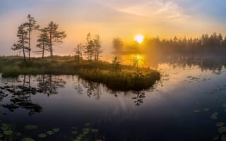 Картинка восход, деревья, вода