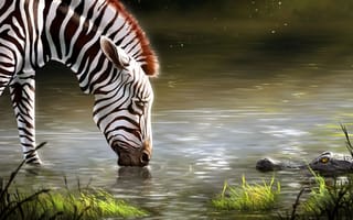 Картинка арт, пьет, вода, озеро, зебра, дикая природа, трава, опасность, крокодил