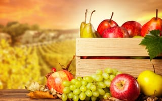 Картинка яблоки, фрукты, груши, виноград