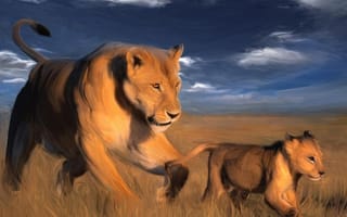 Обои львица, хищники, львенок