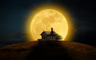 Картинка дом, ночь, кошка, луна