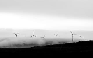 Картинка ветряки, туман