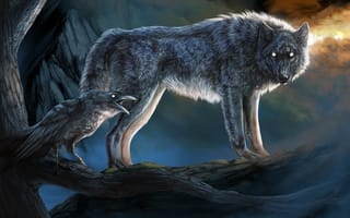 Картинка волк, взгляд, природа