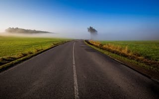 Картинка дорога, поля, туман