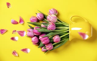 Картинка тюльпаны, весна, розовые тюльпаны