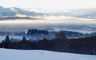 Картинка зима, деревья, лес, снег, туман