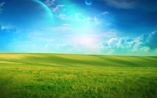 Картинка поле, трава зелёная, небо, лето