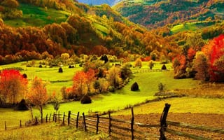 Обои природа, горы, деревья, осень