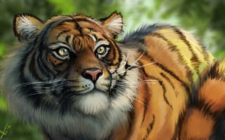 Картинка тигр, хищник, кошка, арт