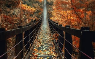 Картинка настроение, осень, листья, мостик