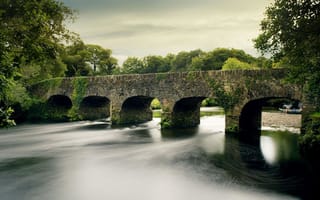 Картинка пейзаж, лес, ирландия, река, мост