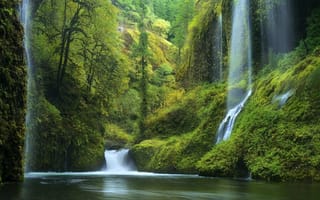 Картинка природа, лес, водопад