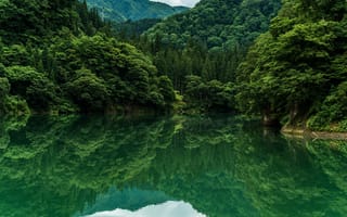 Картинка nature, forest, reflection, lake