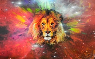Картинка animal, art, drawing, lion