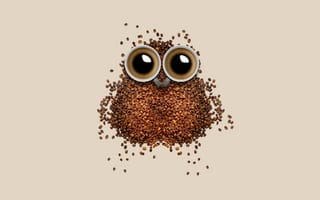 Картинка coffee, owl, coffee cup, beans, beautiful, brown drinks, caffeine