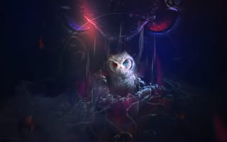 Картинка owl, look, fantasy, graphics, art