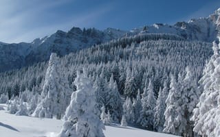 Картинка Румыния, пейзаж, горы, снег, ели, зима