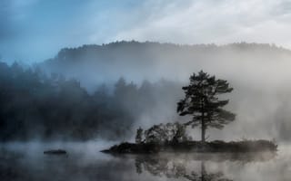 Картинка река, остров, берега, туман, лес, деревья, природа
