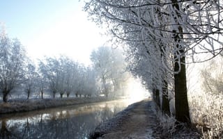 Картинка иней, река, зима, деревья