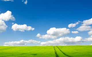 Картинка поле, лето, трава, облака, ярко, небо